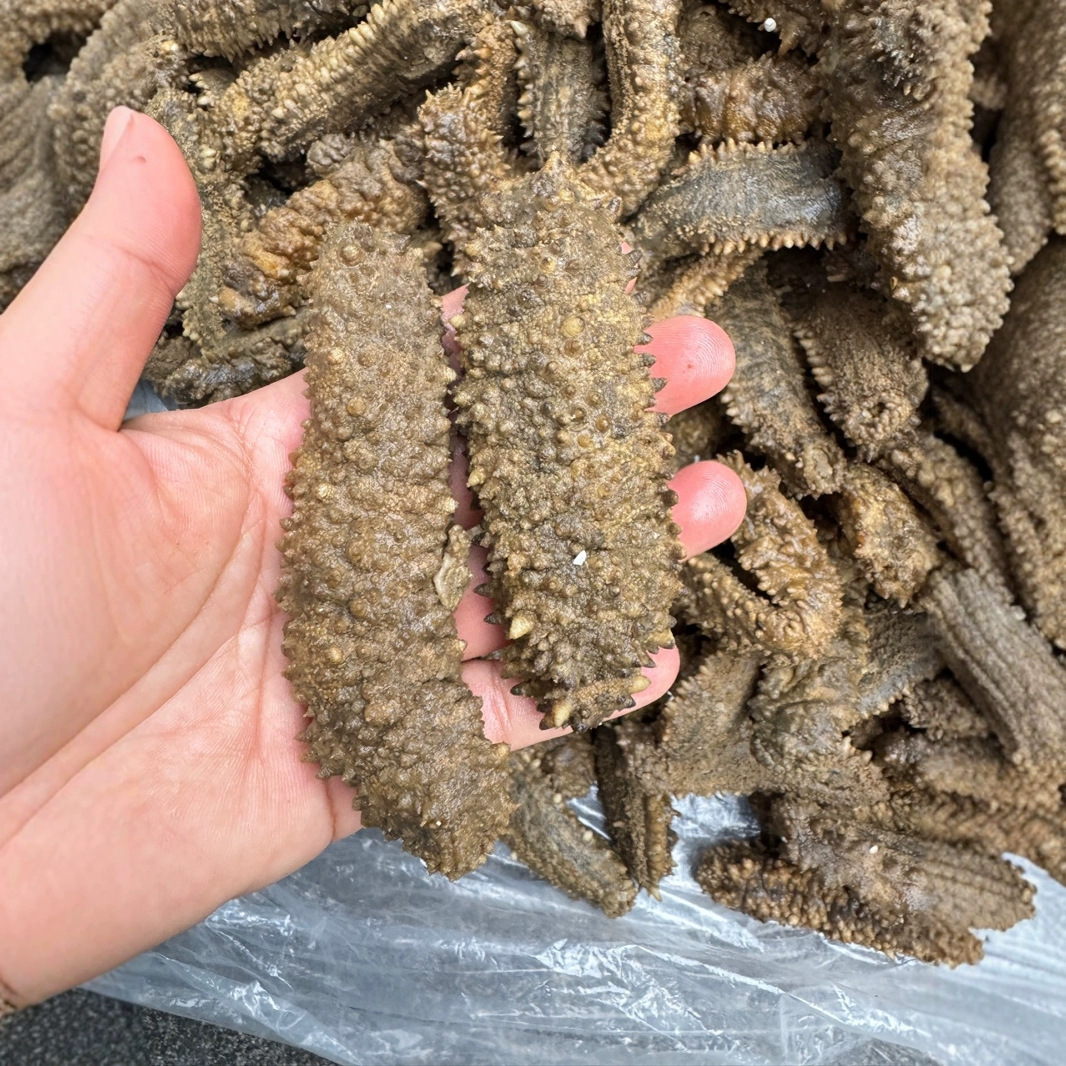 拉缸盐黄玉参